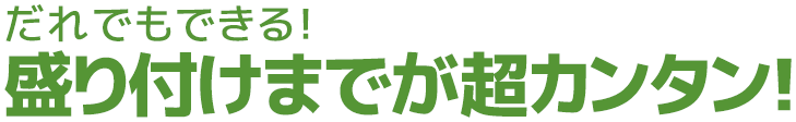 だれでもできる！盛り付けまでが超カンタン！