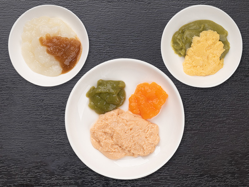 ミキサー食(成型前)