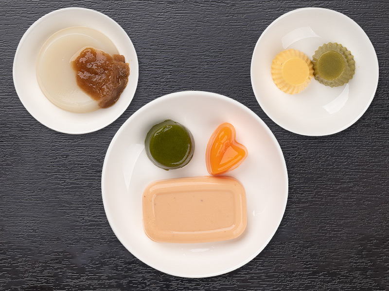 ミキサー食(成型後)